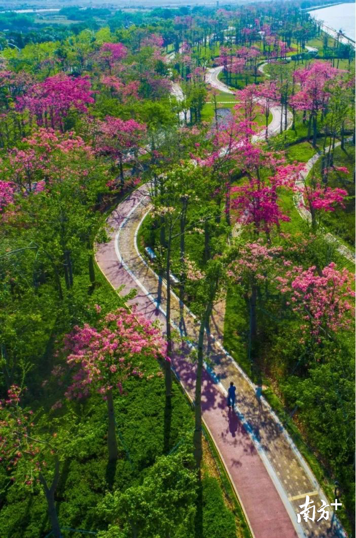 通讯员供图 通讯员供图