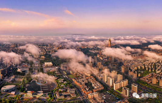 东莞城市画册震撼发布,网友:从打工仔到小老板,我与东莞共成长