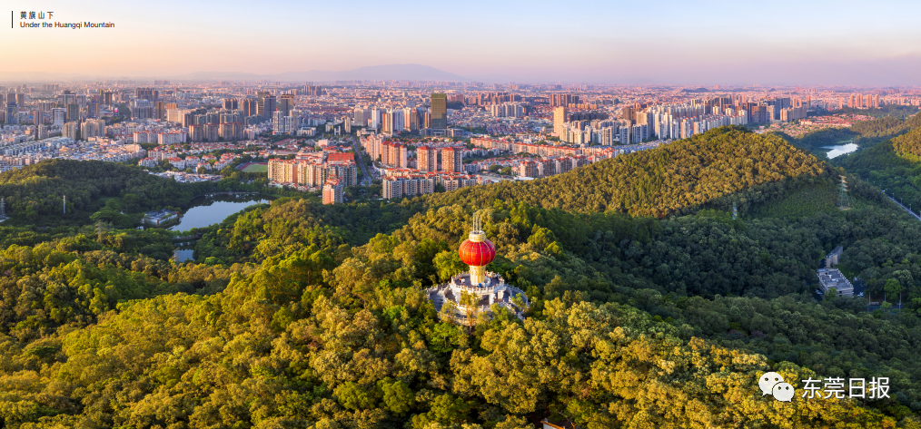 东莞城市画册震撼发布,网友:从打工仔到小老板,我与东莞共成长