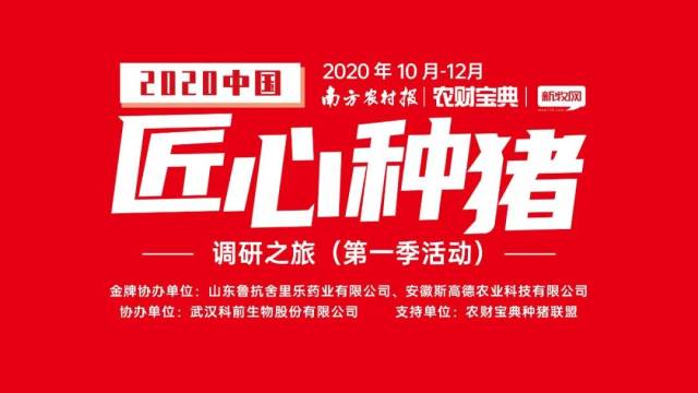 汉世伟广西区域存栏母猪9万头，2021年拟出栏200万头猪！|匠心种猪