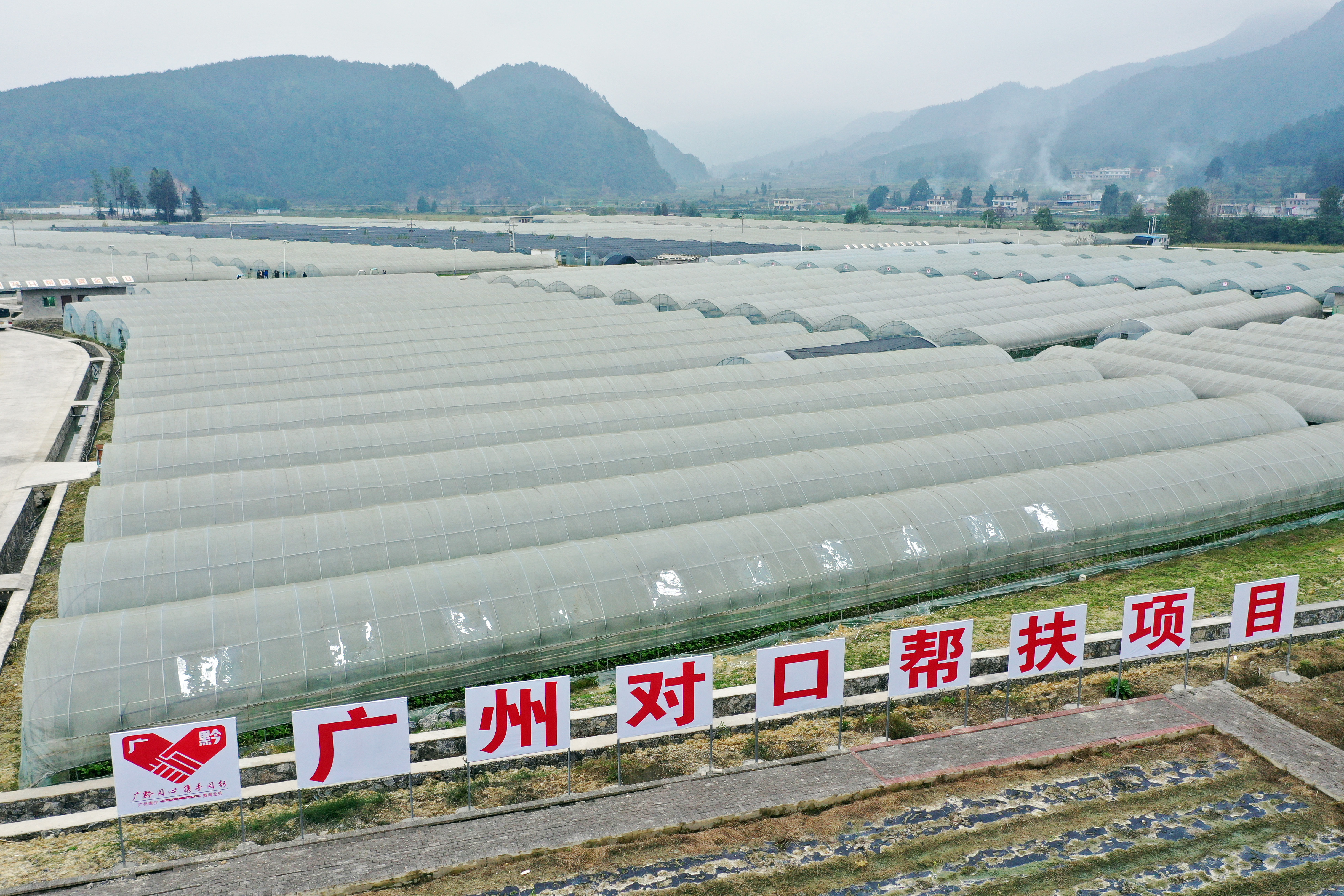 龙里县湾滩河镇蔬菜大棚。刘伟拍摄