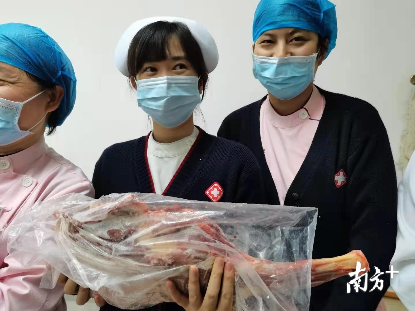 来自蒙古国的羊被送到佛山援鄂医护的手中。