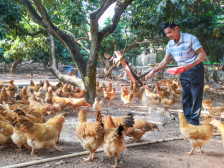 沙院镇：乡村振兴有颜值有产业有品位|回眸“十三五”·镇街印象