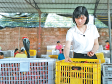 全国劳动模范林秋怡是个电白姑娘，26岁荣获省科技进步一等奖