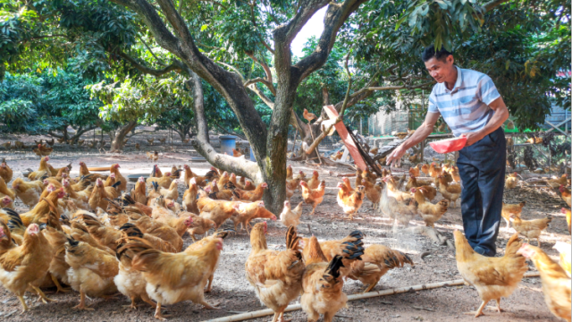 沙院镇：乡村振兴有颜值有产业有品位|回眸“十三五”·镇街印象