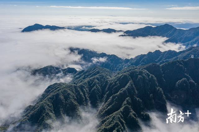 南方日报 | 南岭案迎验收:近十年生态案终了结,南岭顶峰苗木渐绿 | 自然之友