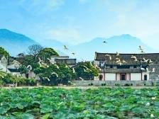 韩江评论|创造不负领袖不负人民不负时代的伟业