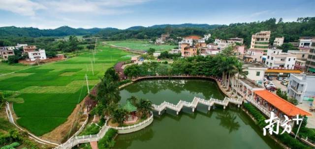 接力棒顺利交接高州南塘镇彭村村完成党组织换届选举