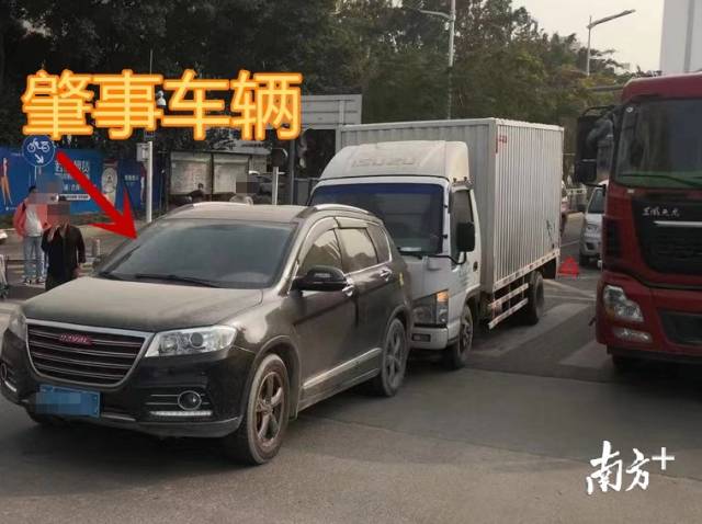 深圳交警曝光 醉猫 一到周末就把自己 喝进铁窗 还撞了车 深圳新闻网