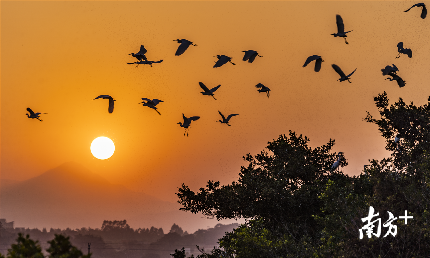 落霞与孤鹜齐飞。