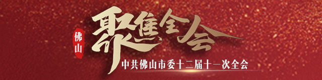 佛山市委十二届十一次全会banner