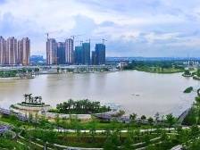 胡学骏：三水要打造湾区特色产业发展新高地｜直击市委全会