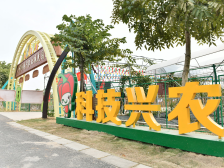 五场“佛味鲜生”带货直播之后，我们在佛山农村发现了什么？