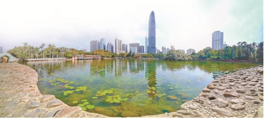 深圳坚持水、产、城共治，高质量建成1000公里碧道，打造一系列高品质的滨水空间。图为水环境改造提升后的荔枝湖。