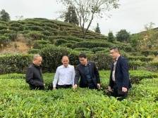 一个好汉三个帮！定向帮扶如何破除农信社风险“周期律”？|农信改制化险攻坚战深调研②