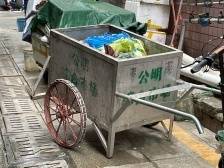 光明B面：部分城中村分类桶不全，垃圾多随意丢弃｜直击深圳十区垃圾分类AB面⑦