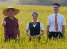 改制不改向，农商行如何“贷”动县域经济发展？|农信改制化险攻坚战”深调研③