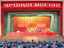 评论|为电白持续高质量发展提供最优环境、最强动力、最好生态