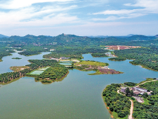 旦场镇：打造宜居宜业滨海新城|回眸“十三五”·镇街印象