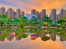 一图读懂 “十三五”期间三水成绩单｜直击区委全会