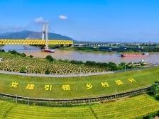 激发全域乡村振兴持久活力，三水接下来这样做｜直击区委全会