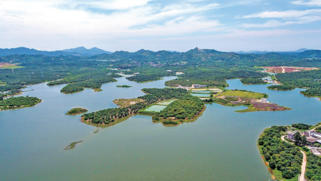 旦场镇：打造宜居宜业滨海新城|回眸“十三五”·镇街印象