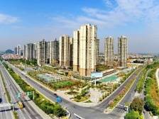 打造叫得响的三水改革品牌，在区域合作中赢得新动力丨直击区委全会