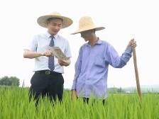 农信社变形记：改制后要成为怎样的农商银行？| 农信改制化险攻坚战深调研④
