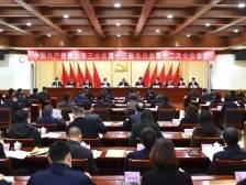 打造湾区特色产业发展新高地，三水瞄准一环创新圈｜直击区委全会