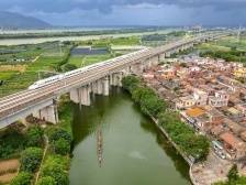 线上影展：“城市三水·镜美湾区”摄影大赛获奖作品大赏