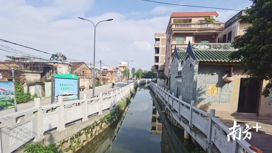 新村村尾水闸涌。