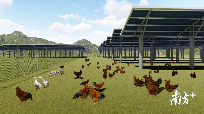 项目效果图。 项目效果图。