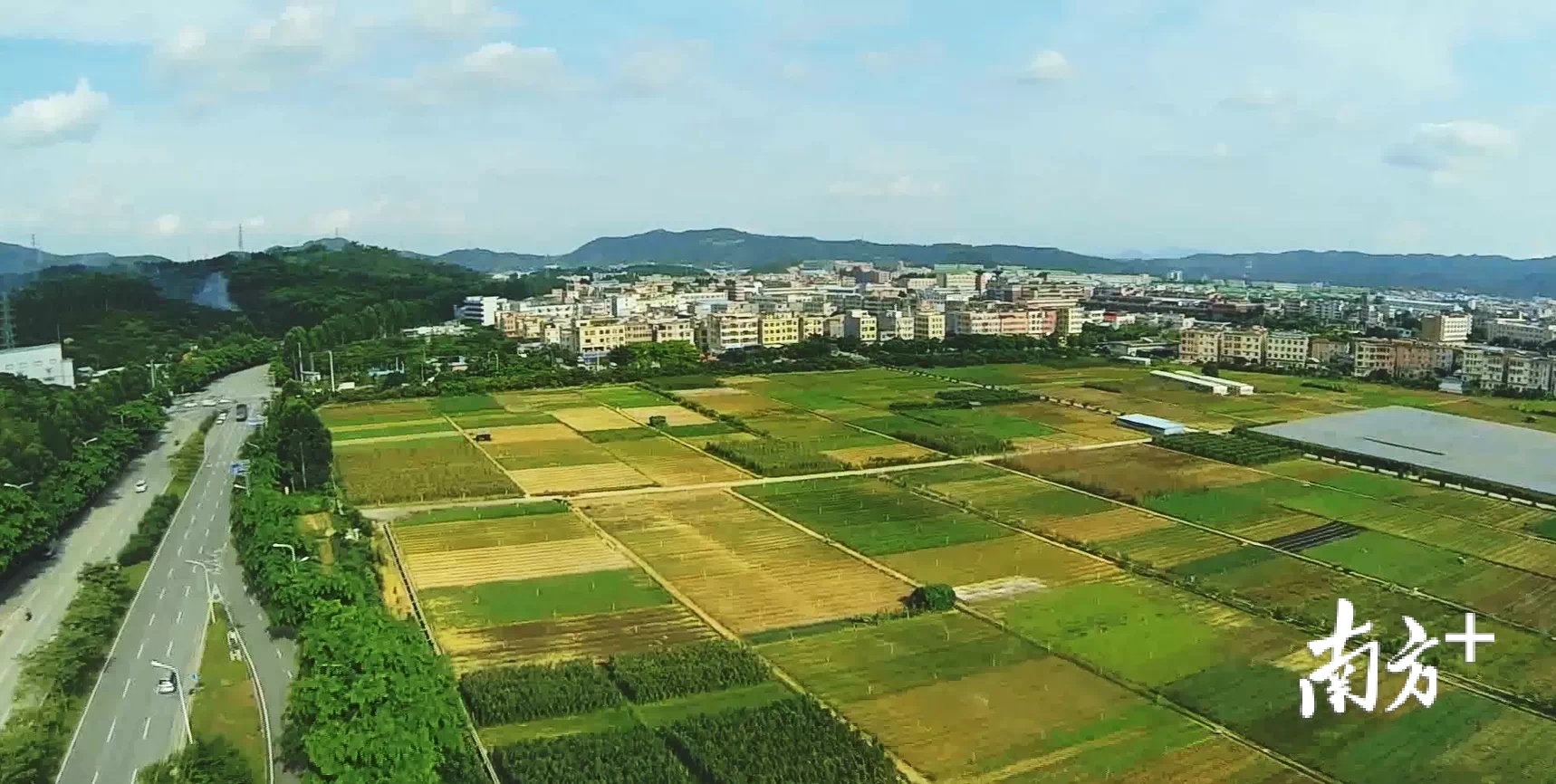 清溪耕地保护和土地执法考核获全市"双冠军"_南方plus_南方