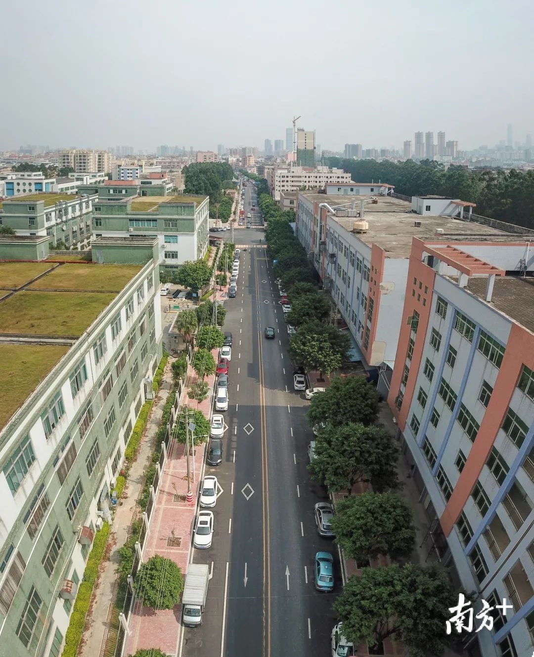 盛丰路升级改造。