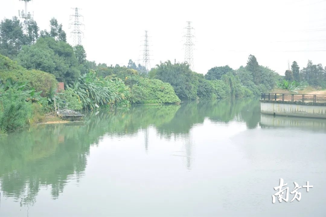 帅虎洲水闸和大滘口排站连通渠。