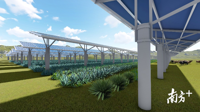 项目效果图。 项目效果图。