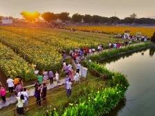 评论｜从“三水案例”看“全周期管理”