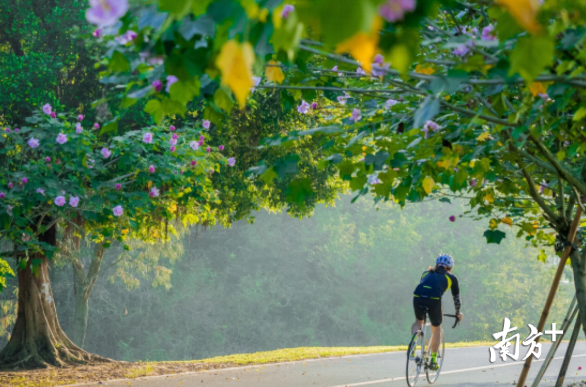 松山湖科学城入围《2020影响中国人生活方式TOP10》