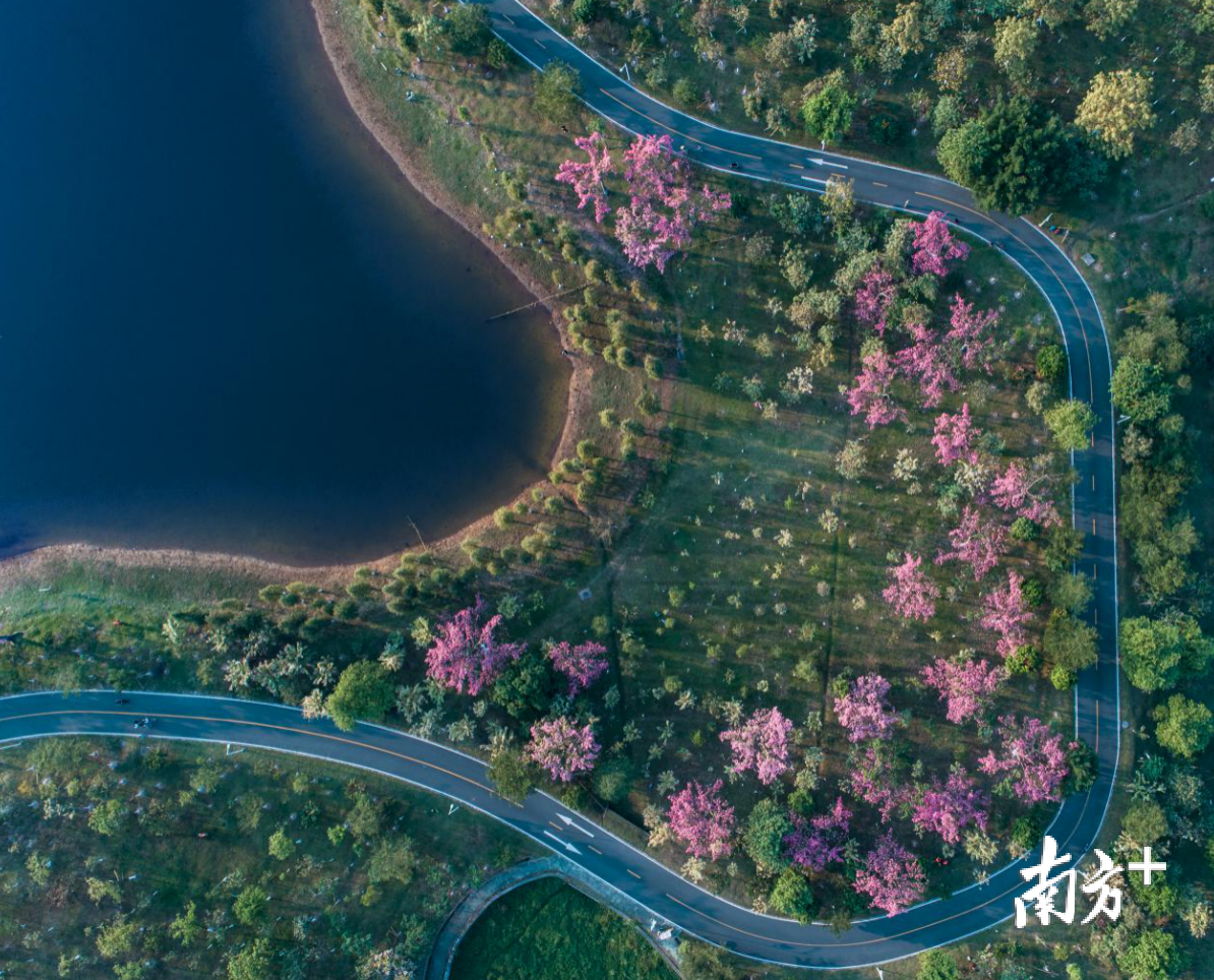 松山湖科学城入围《2020影响中国人生活方式TOP10》