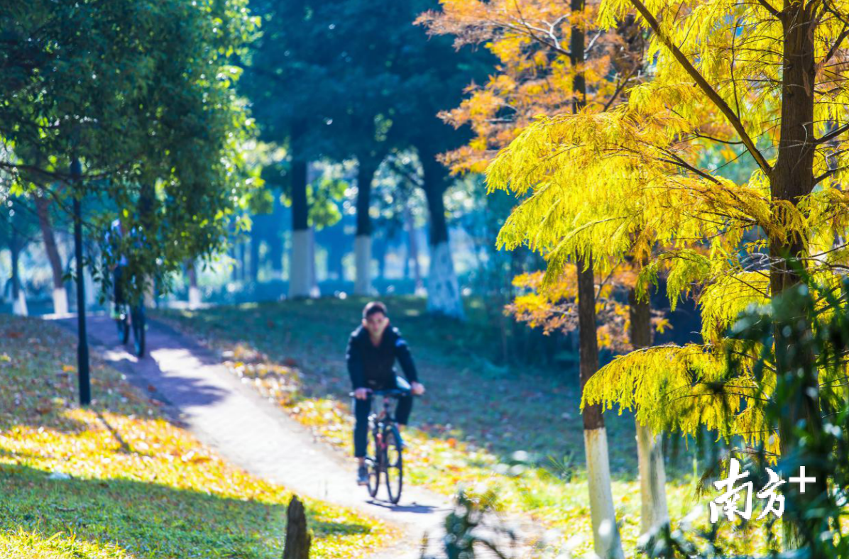 松山湖科学城入围《2020影响中国人生活方式TOP10》