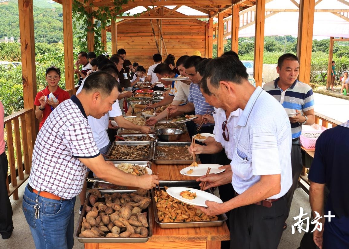 顶厝村食来运转生态园。