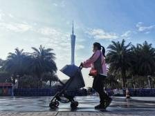 最冷元旦？广州下雪？关于这场即将到来的寒潮，你想知道的都在这里