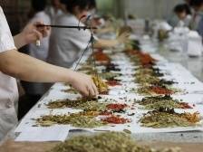 2020年度产业观察③互联网医疗加速跑，中医药趁势出海