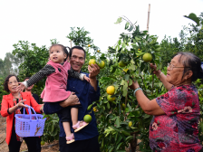 小良镇：牵住产业牛鼻子 撬动乡村大振兴|回眸“十三五”·镇街印象
