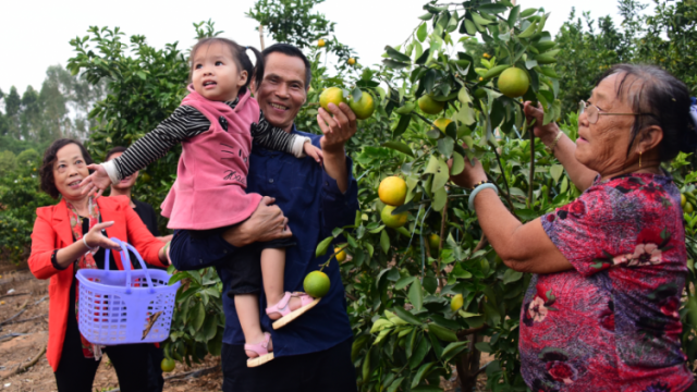 小良镇：牵住产业牛鼻子 撬动乡村大振兴|回眸“十三五”·镇街印象