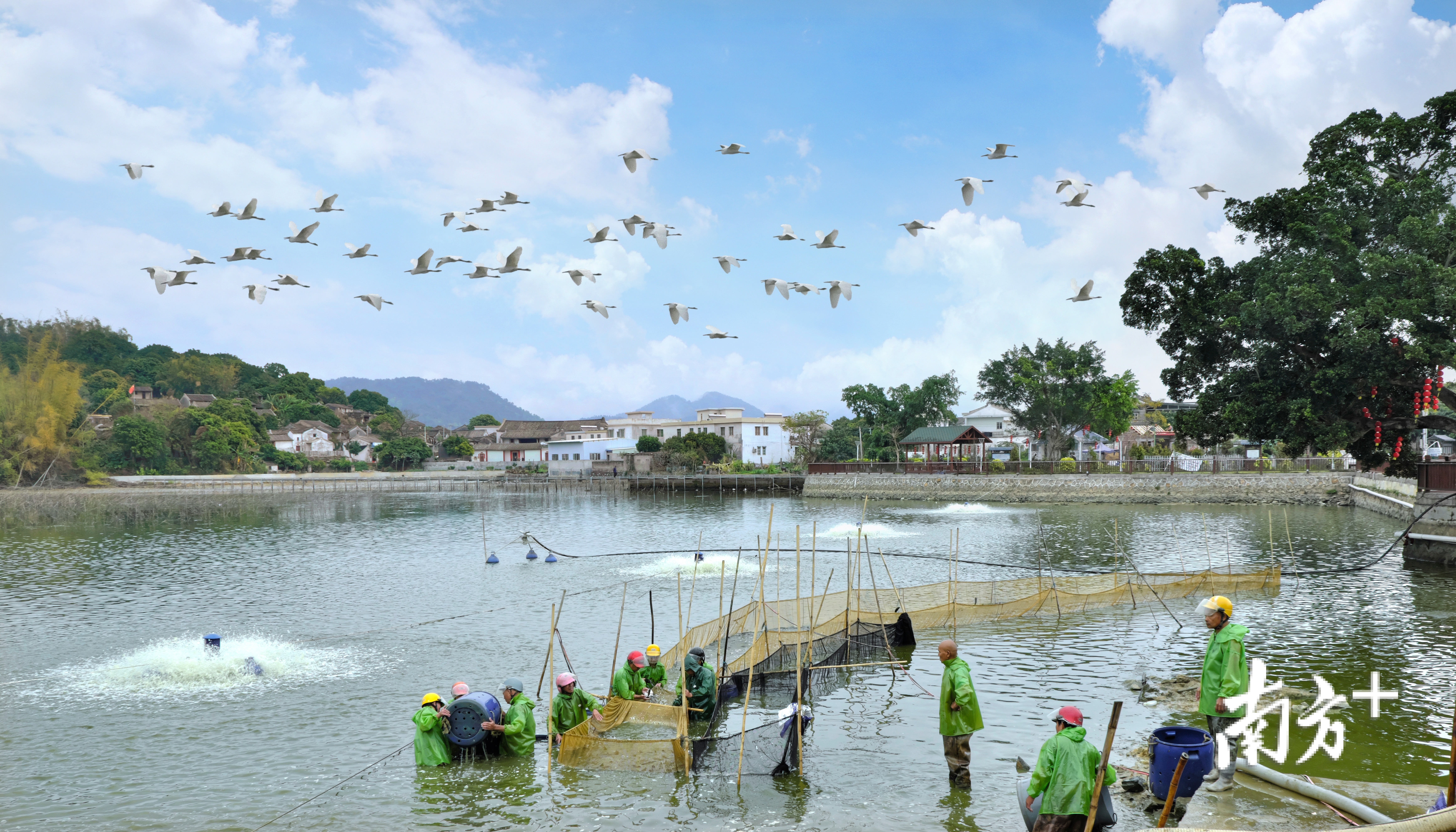 古城之外，潮州打造省级休闲农业示范点狮峰村。