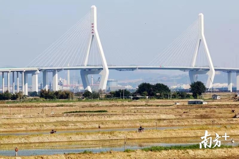 潮汕环线高速金潮大桥。