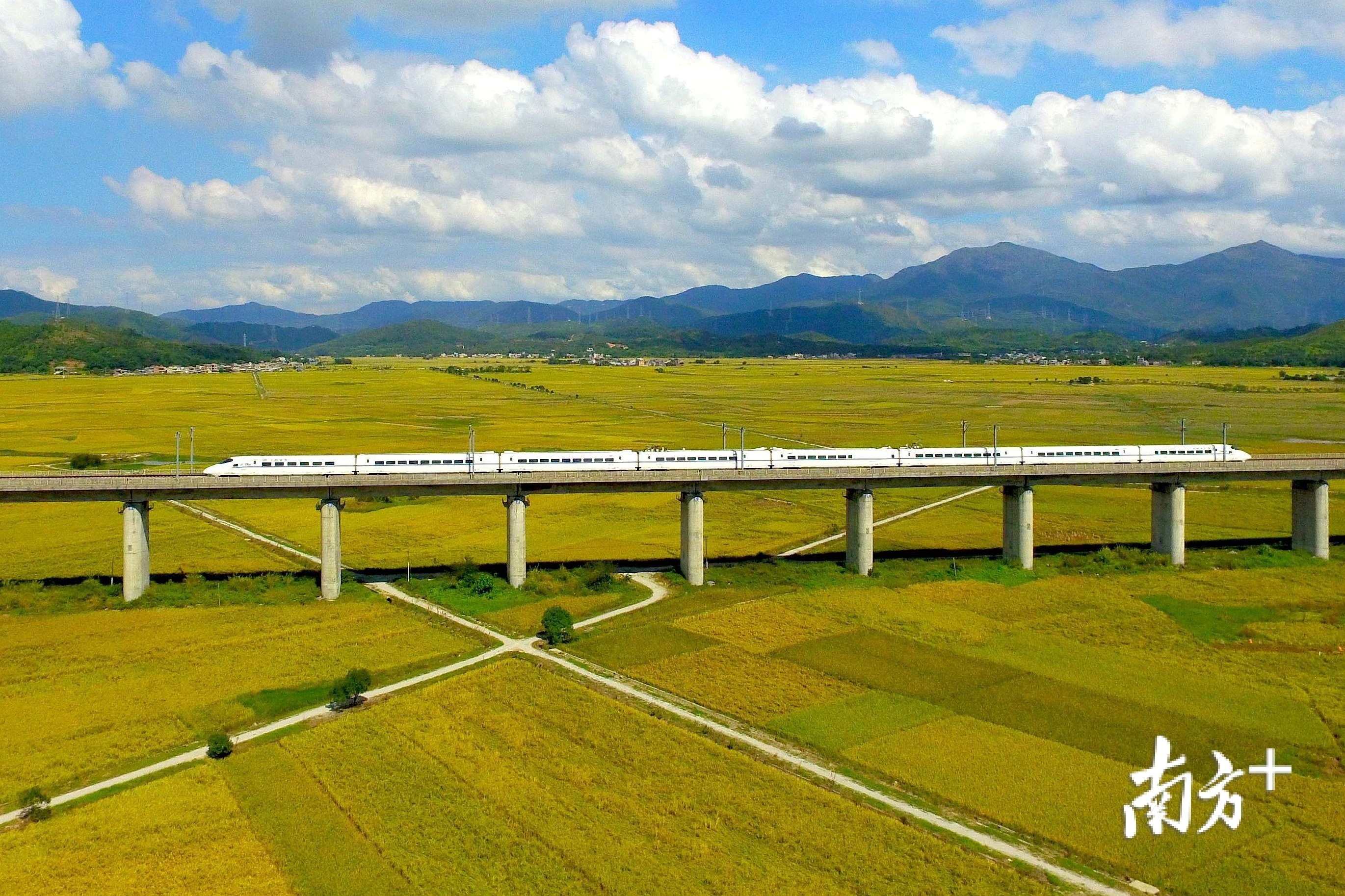 除了厦深高铁（图为厦深高铁），未来深惠城际、深汕高铁、深圳地铁14号线延长线等多条轨道交通也将经过惠阳。梁维春/摄