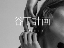 谷丁计画 21 SPRING