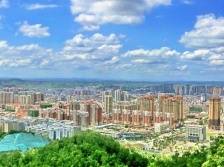 茂名高州：兴乡村树标杆 擦亮小康底色|南方日报